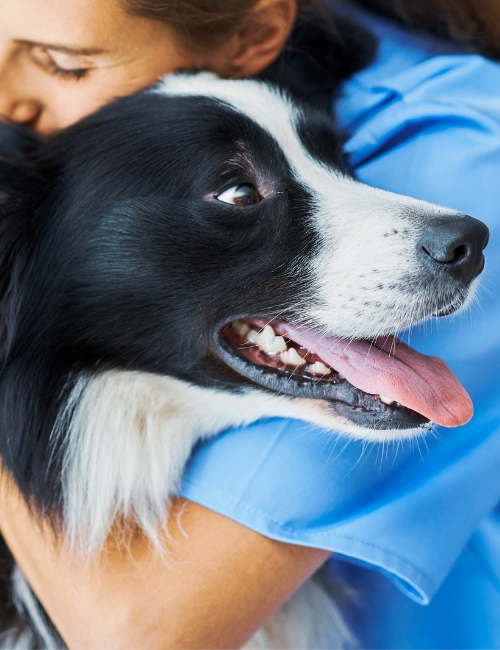 The woman is holding the dog